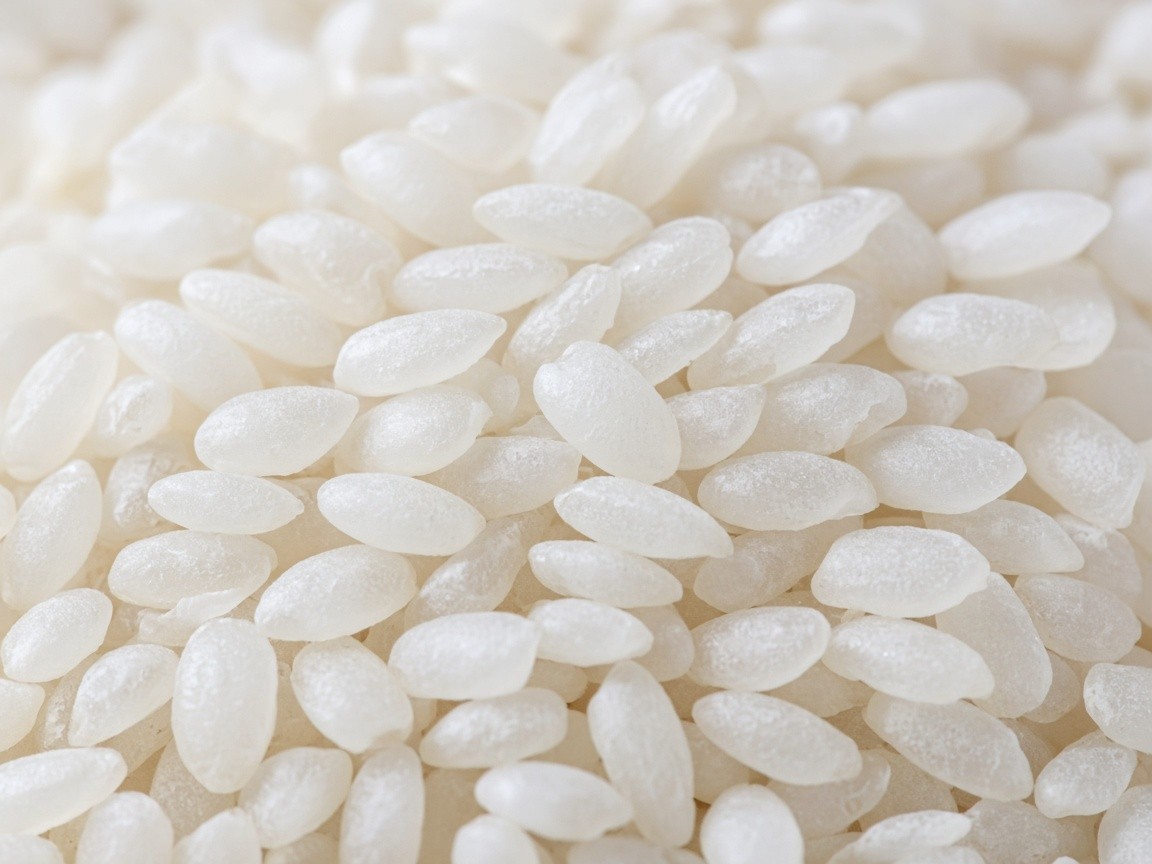 Close-up of milled Chitti Muthyalu rice grains