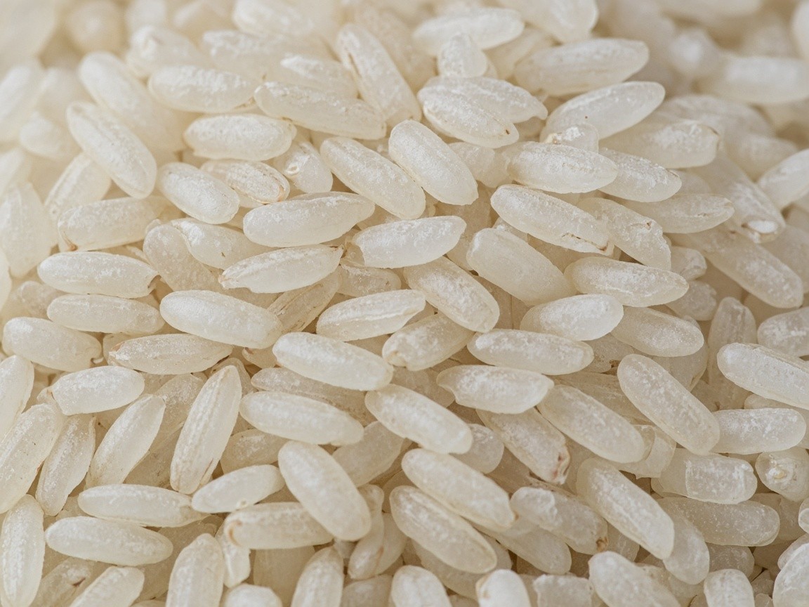 Close-up of milled Dampudu Biyyam grains