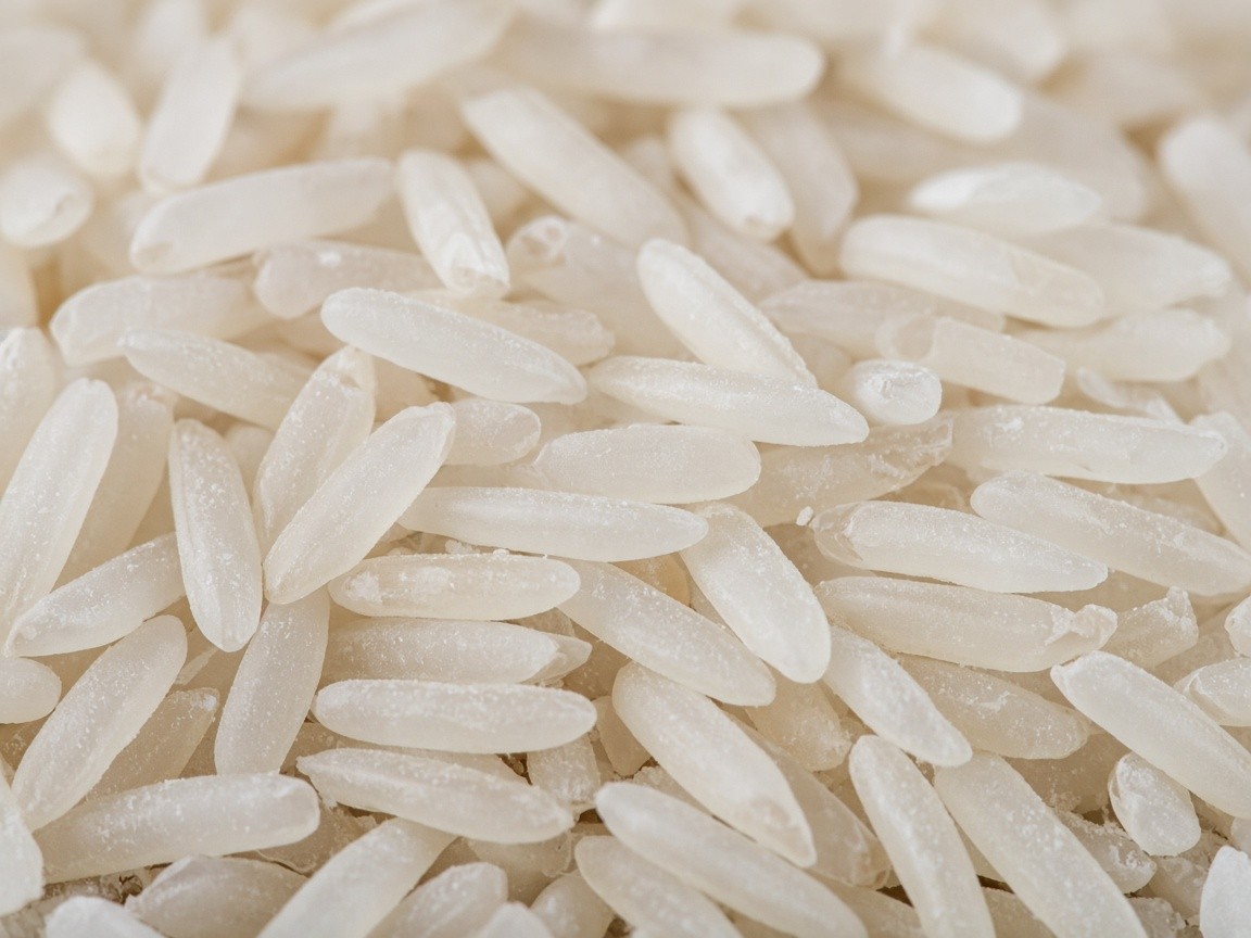 Close-up of milled Sona Masuri rice grains